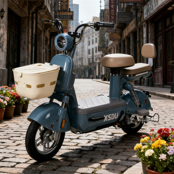 New Model Design Electric Bicycle 14inch 