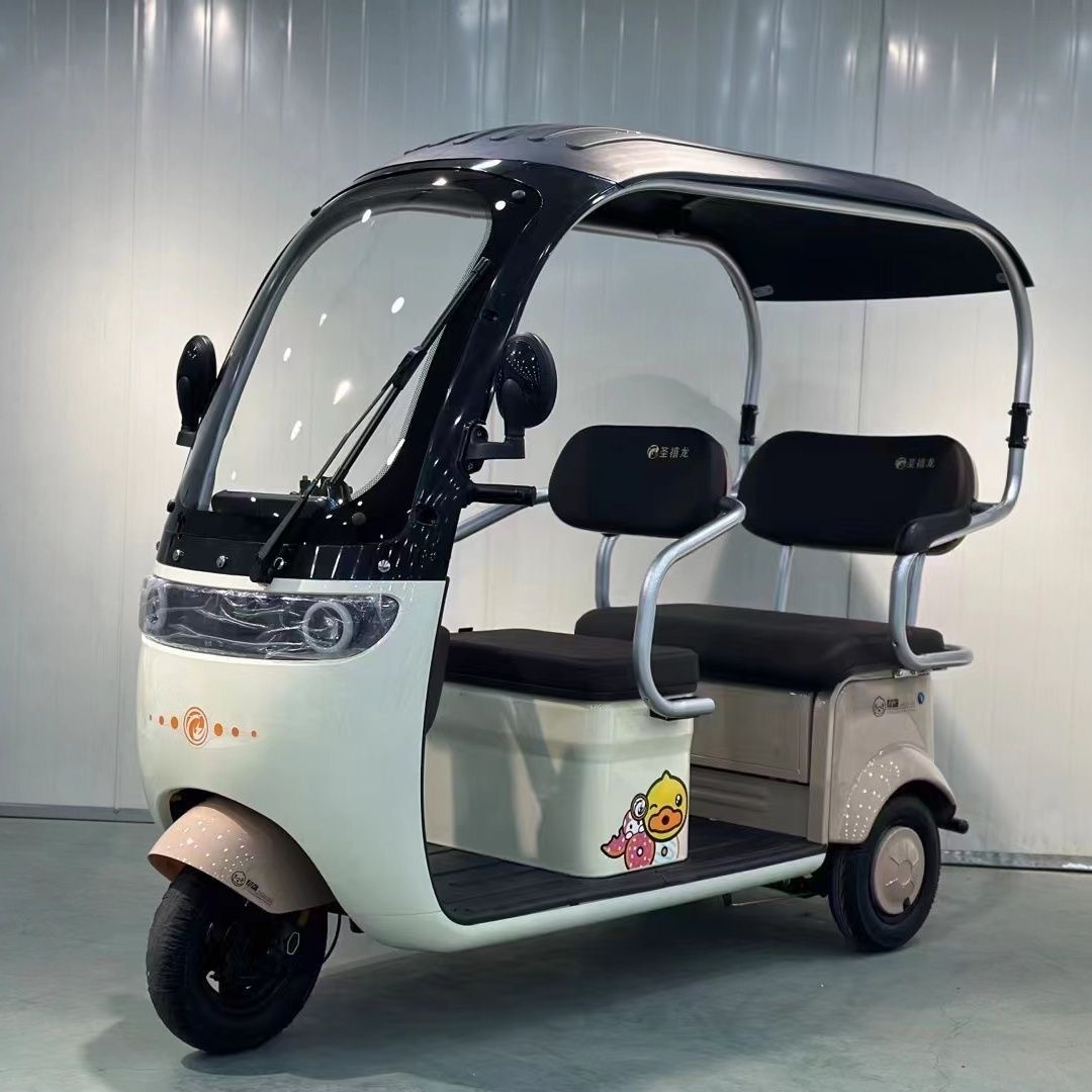 Electric 3 Wheel Bikes for Adults