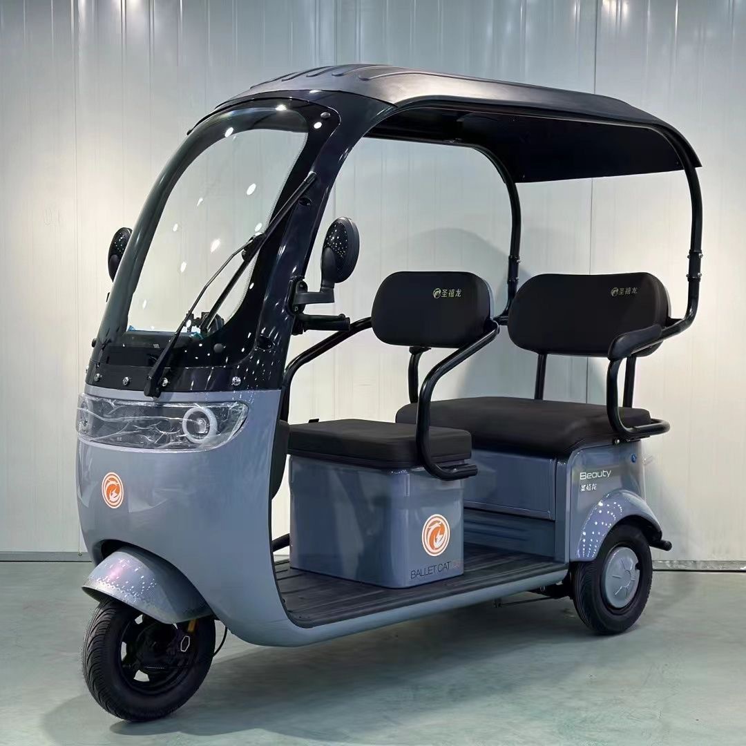 Electric 3 Wheel Bikes for Adults 