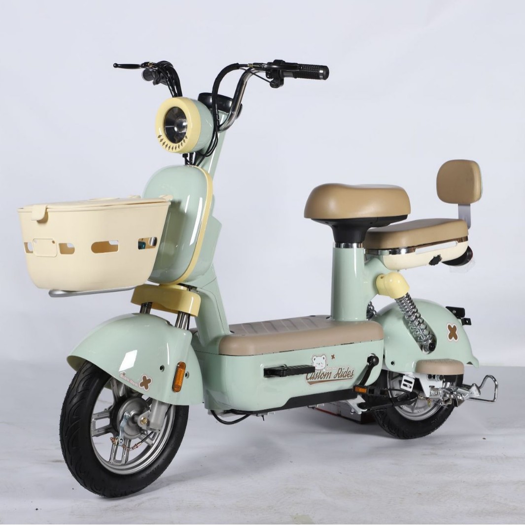 2025 Hot Sale Electric City Bike for Adults 