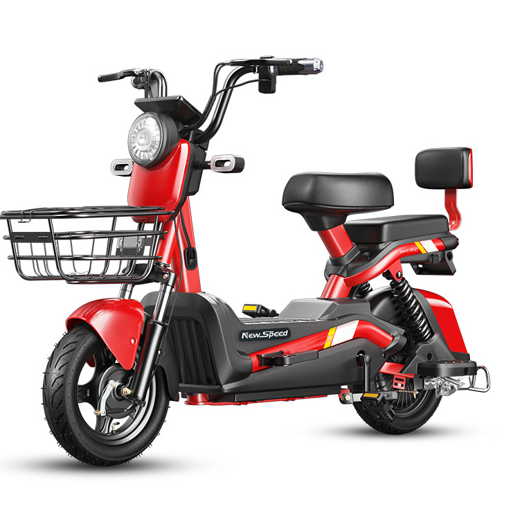 City Electric Bike Adult 2 Seater Electric Bike