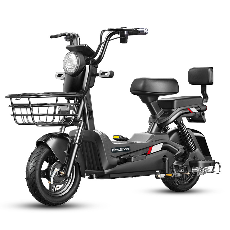 City Electric Bike Adult 2 Seater Electric Bike 