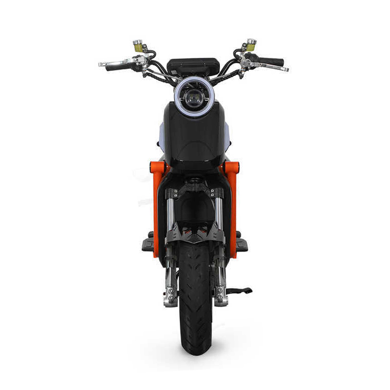 Adult Electric Motorcycle 