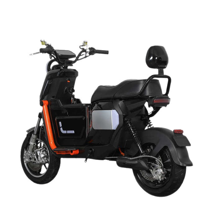 Adult Electric Motorcycle 