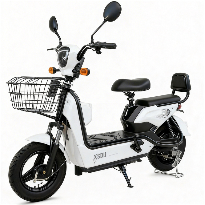 Factory Direct Sales 250W Front Hub Motor Electronic EU 48V Battery Electric City Bike Adult Mini Pedicab 