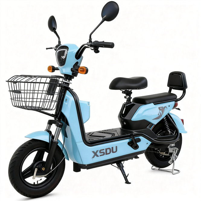 Factory Direct Sales 250W Front Hub Motor Electronic EU 48V Battery Electric City Bike Adult Mini Pedicab 