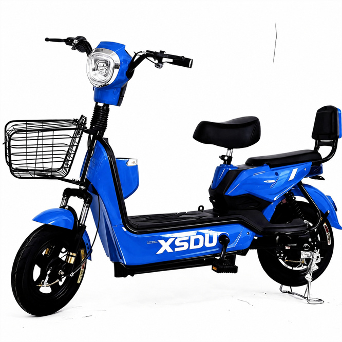 Electric City Bike Carbon Steel Frame 350W Adult Pedicab with 48V Lead Acid Battery High Quality 