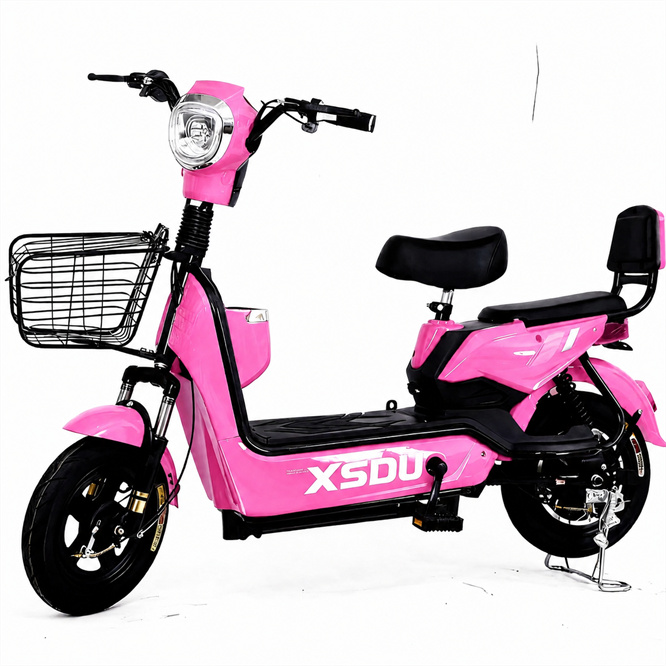 Electric City Bike Carbon Steel Frame 350W Adult Pedicab with 48V Lead Acid Battery High Quality 