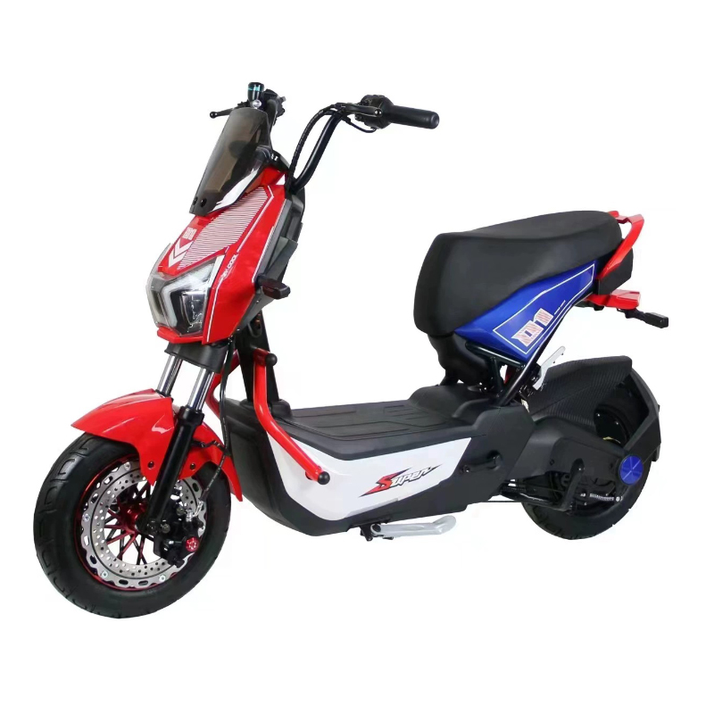 OEM Off-Road Electric Bicycle and Motorcycle with 1000W Motor Power 48V Electronic Smart Type Lead-Acid Battery Ebike Moped 