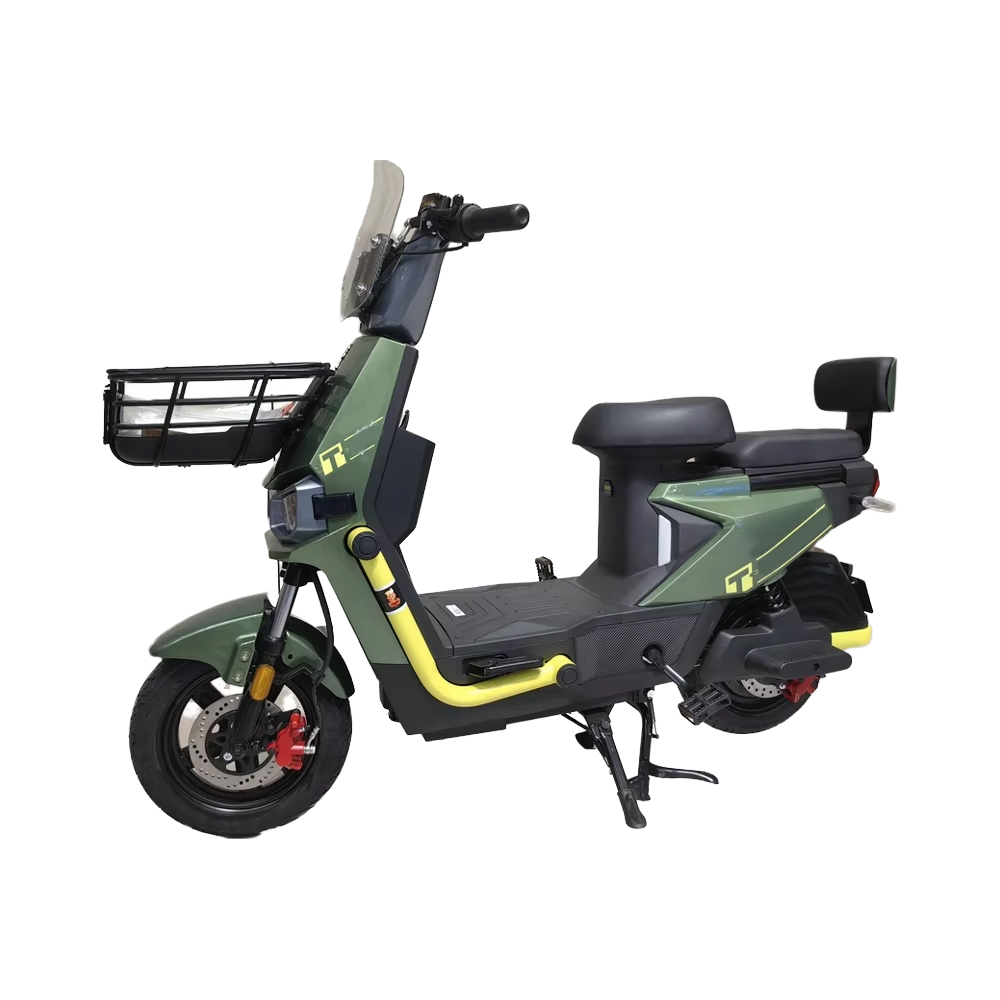 Wholesale Low Price Electric Bicycle with Pedal Two Seats 350W/500W/1000W Brushless Hub Motor Rear Carrier Electronic City Bike 