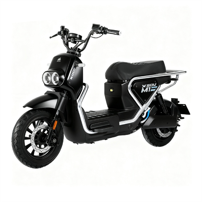 High Quality Electric Scooter Bicycle Electric Bike Electric Motorcycle 500w 800w 1000w 1500w Motor 