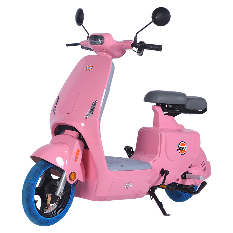 Electric Bicycle with 14 Inch Fat Tire 48V 20A Drum Brake 500W to 1000W Motor Power Dirt Bike by Motorcycle Electric Ebike