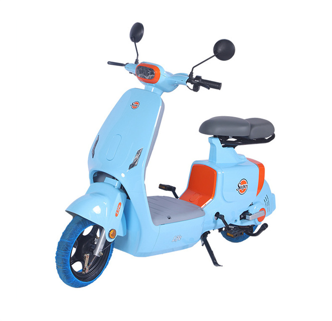 Electric Bicycle with 14 Inch Fat Tire 48V 20A Drum Brake 500W to 1000W Motor Power Dirt Bike by Motorcycle Electric Ebike 