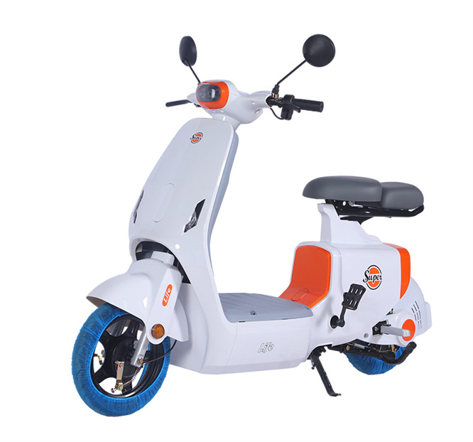 Electric Bicycle with 14 Inch Fat Tire 48V 20A Drum Brake 500W to 1000W Motor Power Dirt Bike by Motorcycle Electric Ebike 