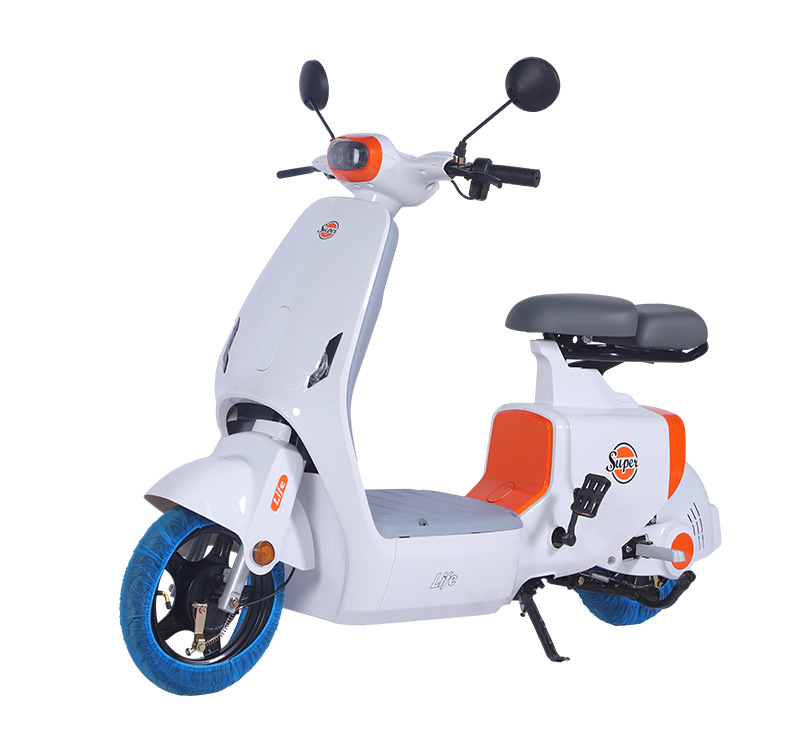 Electric Bicycle with 14 Inch Fat Tire 48V 20A Drum Brake 500W to 1000W Motor Power Dirt Bike by Motorcycle Electric Ebike 