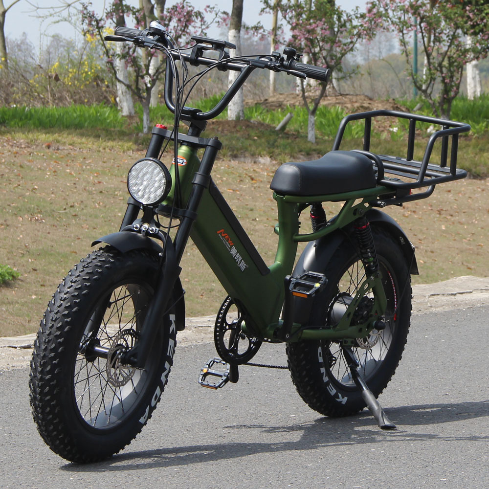 Wholesale Fat Ebike 48V 1000W Lithium Battery Steel Frame Wheel Motor Fat Tire Electric Mountain Bicycle with CE Banana Seat