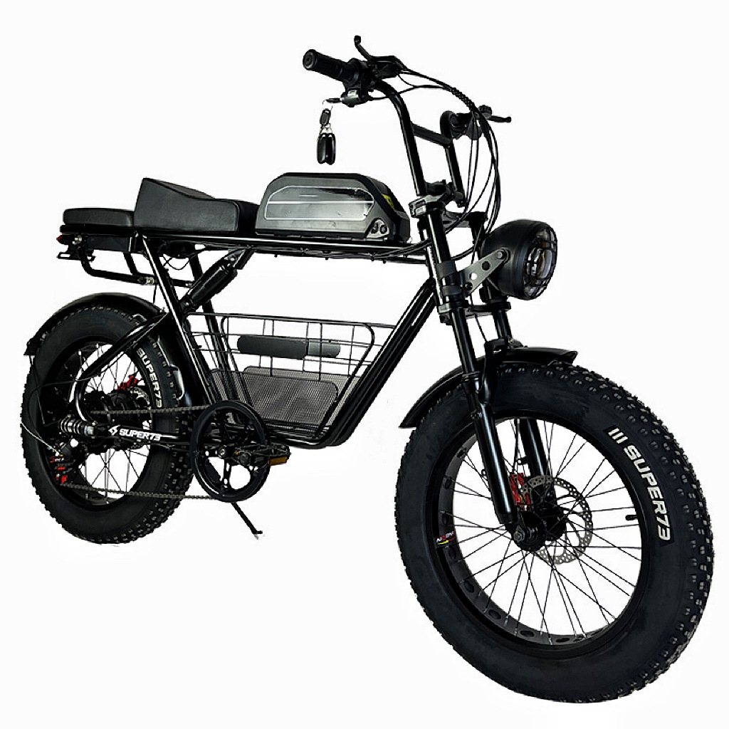 48V 750W/1000W EMTB Retro Electric Fat Bike with Integrated Battery and Steel Frame-Road & Dirt Mountain Bike 