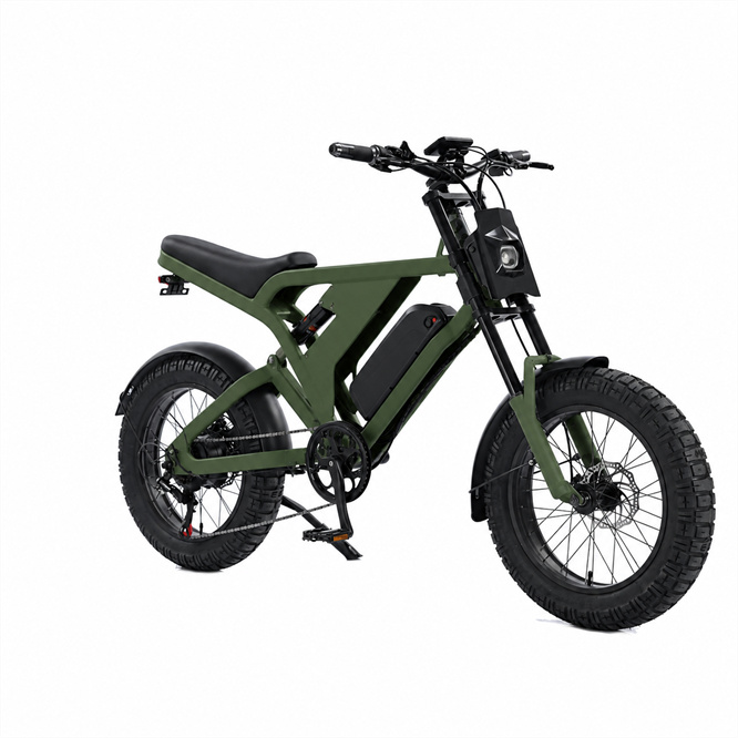 Cheap Price Ebike Wholesale Electric Bicycle 48V750W Electric Fat Bike/E Bike 1000W Motor 20inch Fat Tire Electric Bicycle 