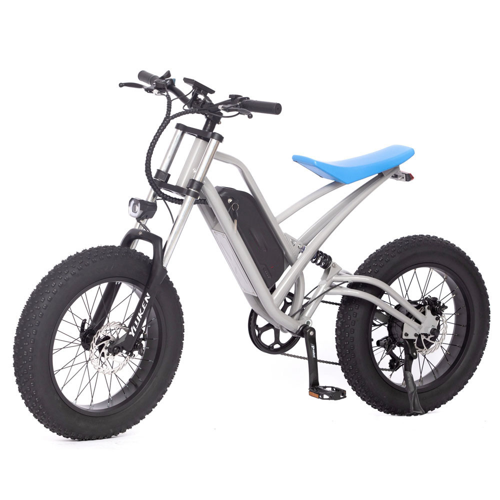 Electric Electronic Hybrid Bike Disc Brake 750W Bafang Motor 48V Lithium Battery 20inch Fat Tyre Steel Frame 