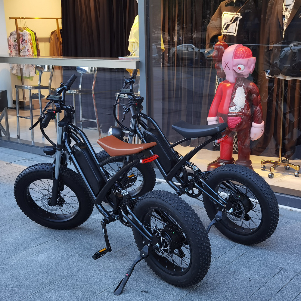 Electric Electronic Hybrid Bike Disc Brake 750W Bafang Motor 48V Lithium Battery 20inch Fat Tyre Steel Frame 