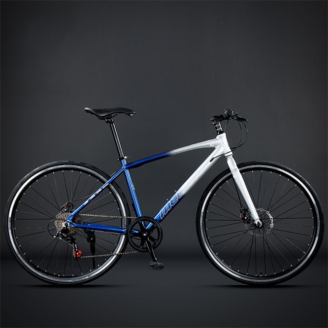Newspeed OEM Women's Aluminum Alloy Steel Fork City Bike 26
