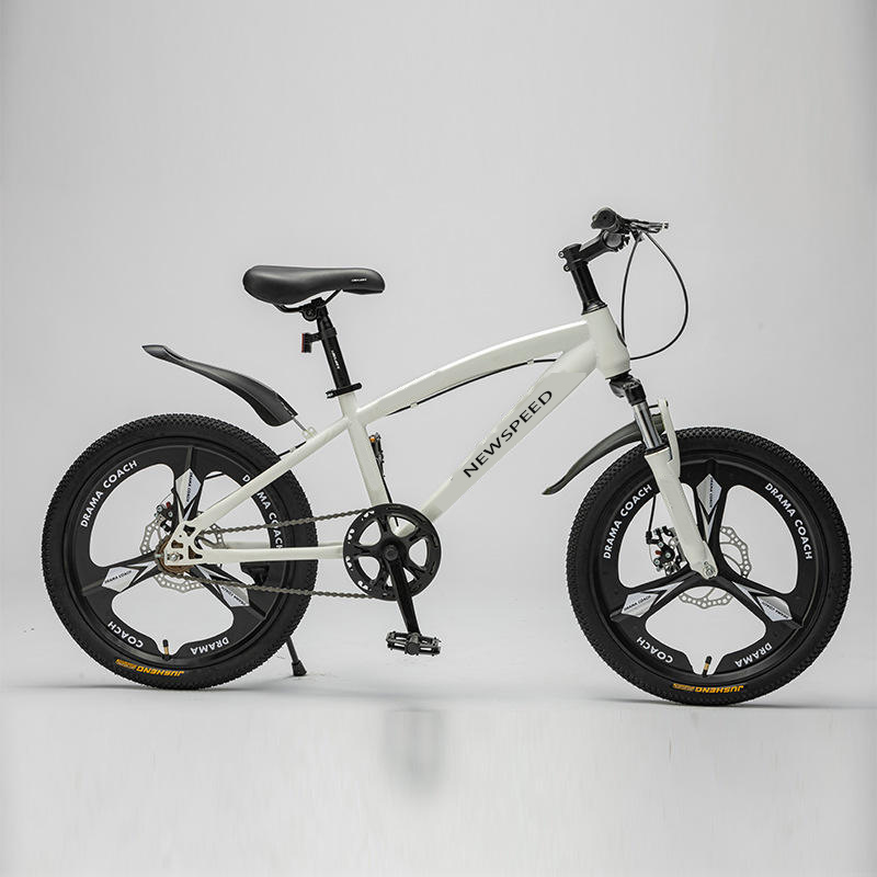 Hot Sale Bicycles Mountain Bike High Carbon Steel Frame Alloy Aluminum Disc Brake 21 Speed 26 Inch 