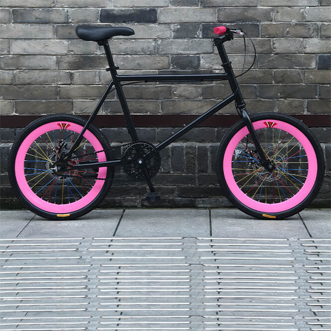 Newspeed Steel 20-Inch Fixed Gear Bike Disc Brake Fixie Bicycle Aluminum Alloy Rim Hard Front Fork Single Speed Dead Bikes