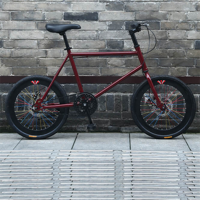 Newspeed Steel 20-Inch Fixed Gear Bike Disc Brake Fixie Bicycle Aluminum Alloy Rim Hard Front Fork Single Speed Dead Bikes 